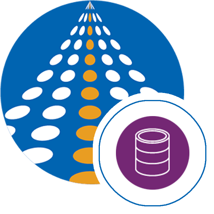 Common Data Service Connection | COZYROC SSIS components