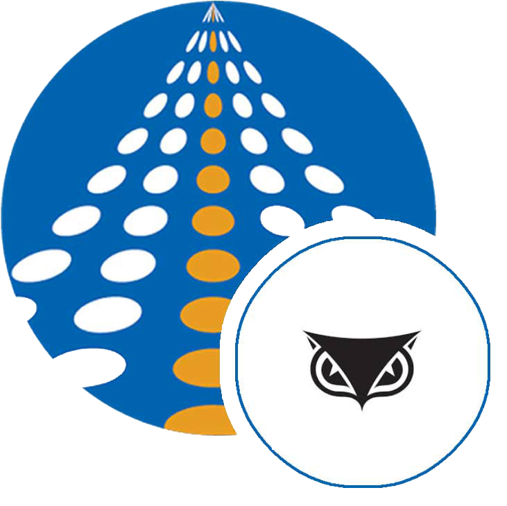 Cybereason SSIS components | COZYROC SSIS components