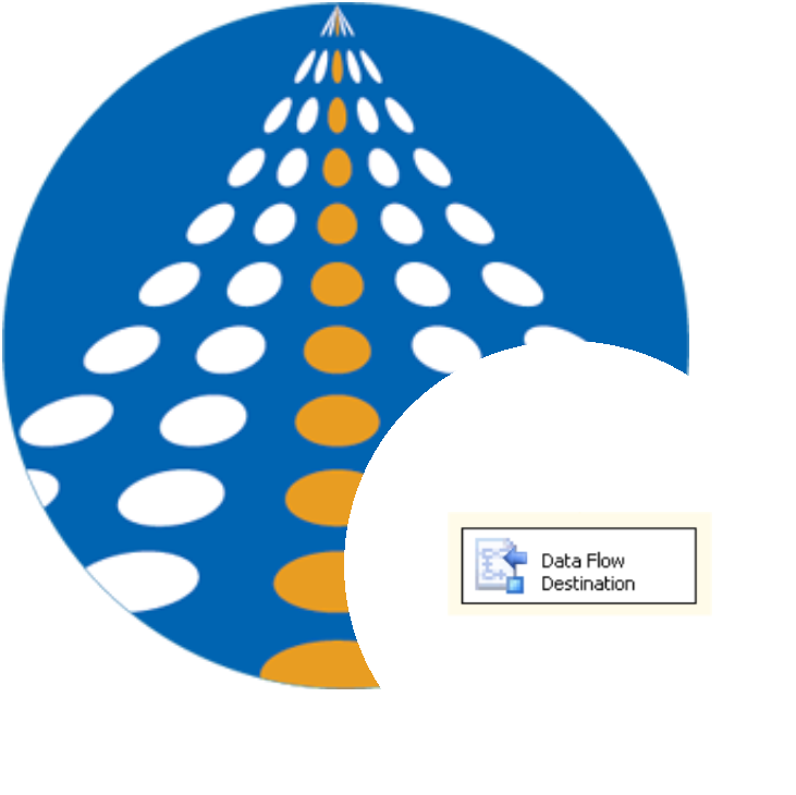 Data Flow Destination SSI component