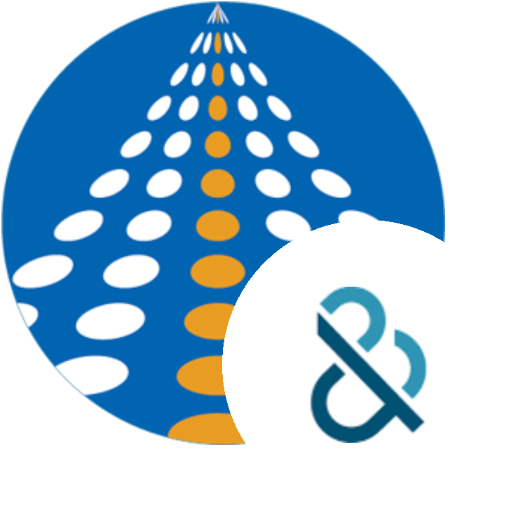 DNB DirectPlus SSIS connection | COZYROC SSIS+ components suite