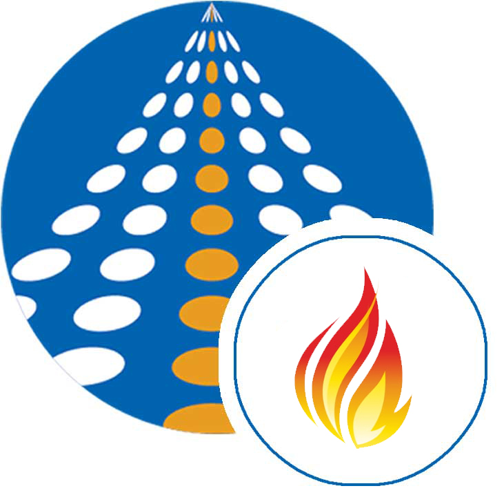 FHIR server SSIS components | COZYROC SSIS+ components suite