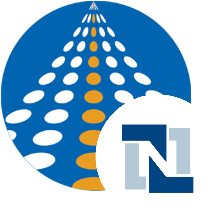  NetSuite REST service connection