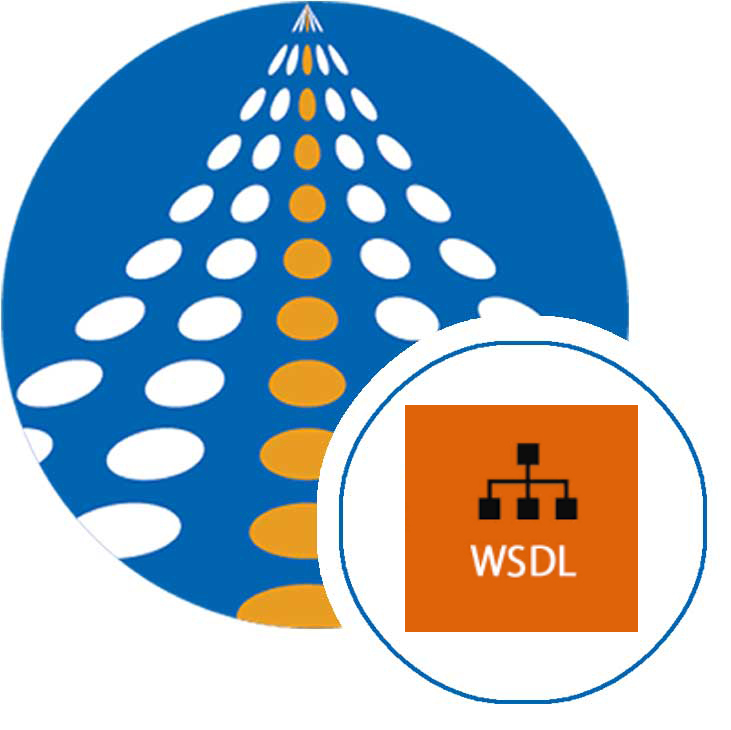 REST Configuration WSDL - WSDL Import  | COZYROC SSIS components suite