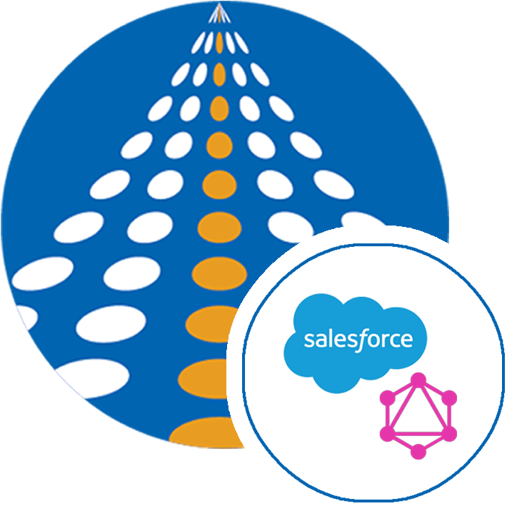 Salesforce GraphQL SSIS components | COZYROC SSIS+ components suite
