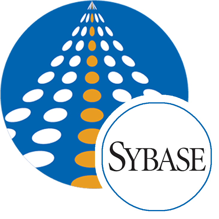 Sybase Destination Component  | COZYROC SSIS components